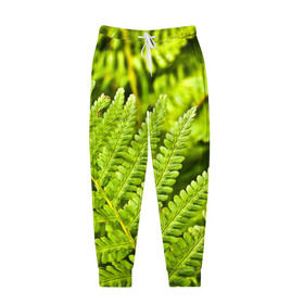 Мужские брюки 3D с принтом Папоротник в Белгороде, 100% полиэстер | манжеты по низу, эластичный пояс регулируется шнурком, по бокам два кармана без застежек, внутренняя часть кармана из мелкой сетки | ботаника | зелень | листья | папоротник | природа | растения | цветок