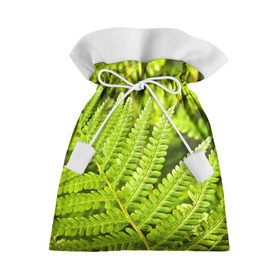 Подарочный 3D мешок с принтом Папоротник в Белгороде, 100% полиэстер | Размер: 29*39 см | Тематика изображения на принте: ботаника | зелень | листья | папоротник | природа | растения | цветок