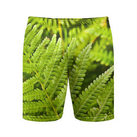 Мужские шорты 3D спортивные с принтом Папоротник в Белгороде,  |  | Тематика изображения на принте: ботаника | зелень | листья | папоротник | природа | растения | цветок