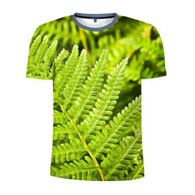 Мужская футболка 3D спортивная с принтом Папоротник в Белгороде, 100% полиэстер с улучшенными характеристиками | приталенный силуэт, круглая горловина, широкие плечи, сужается к линии бедра | ботаника | зелень | листья | папоротник | природа | растения | цветок