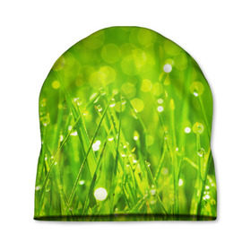 Шапка 3D с принтом Роса на траве в Белгороде, 100% полиэстер | универсальный размер, печать по всей поверхности изделия | зелёный | зелень | луг | роса | яркий