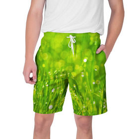 Мужские шорты 3D с принтом Роса на траве в Белгороде,  полиэстер 100% | прямой крой, два кармана без застежек по бокам. Мягкая трикотажная резинка на поясе, внутри которой широкие завязки. Длина чуть выше колен | зелёный | зелень | луг | роса | яркий