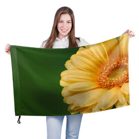 Флаг 3D с принтом Лепестки в Белгороде, 100% полиэстер | плотность ткани — 95 г/м2, размер — 67 х 109 см. Принт наносится с одной стороны | Тематика изображения на принте: герберы | зелень | лепестки | природа | растения | цветы