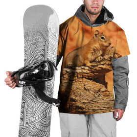 Накидка на куртку 3D с принтом Суслик в Белгороде, 100% полиэстер |  | голова животного | грызун | песок | природа | пустыня | степь | суслик