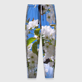 Мужские брюки 3D с принтом Вишнёвый цвет в Белгороде, 100% полиэстер | манжеты по низу, эластичный пояс регулируется шнурком, по бокам два кармана без застежек, внутренняя часть кармана из мелкой сетки | весна | вишня | лепестки | прикольные картинки | цветение | цветы