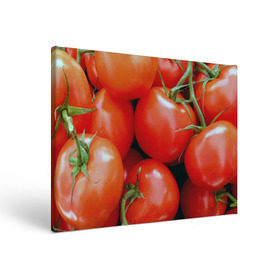 Холст прямоугольный с принтом Томаты в Белгороде, 100% ПВХ |  | Тематика изображения на принте: дача | еда | зелень | красный | овощи | огород | помидоры | томаты