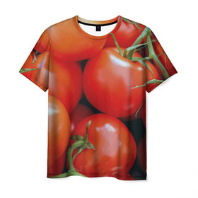 Мужская футболка 3D с принтом Томаты в Белгороде, 100% полиэфир | прямой крой, круглый вырез горловины, длина до линии бедер | дача | еда | зелень | красный | овощи | огород | помидоры | томаты