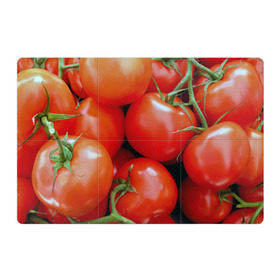 Магнитный плакат 3Х2 с принтом Томаты в Белгороде, Полимерный материал с магнитным слоем | 6 деталей размером 9*9 см | дача | еда | зелень | красный | овощи | огород | помидоры | томаты