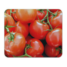 Коврик прямоугольный с принтом Томаты в Белгороде, натуральный каучук | размер 230 х 185 мм; запечатка лицевой стороны | Тематика изображения на принте: дача | еда | зелень | красный | овощи | огород | помидоры | томаты