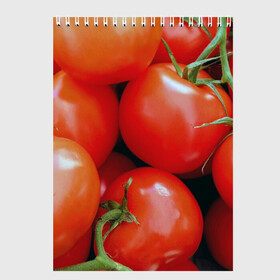 Скетчбук с принтом Томаты в Белгороде, 100% бумага
 | 48 листов, плотность листов — 100 г/м2, плотность картонной обложки — 250 г/м2. Листы скреплены сверху удобной пружинной спиралью | Тематика изображения на принте: дача | еда | зелень | красный | овощи | огород | помидоры | томаты