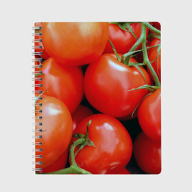 Тетрадь с принтом Томаты в Белгороде, 100% бумага | 48 листов, плотность листов — 60 г/м2, плотность картонной обложки — 250 г/м2. Листы скреплены сбоку удобной пружинной спиралью. Уголки страниц и обложки скругленные. Цвет линий — светло-серый
 | дача | еда | зелень | красный | овощи | огород | помидоры | томаты
