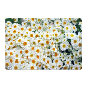 Магнитный плакат 3Х2 с принтом Ромашки в Белгороде, Полимерный материал с магнитным слоем | 6 деталей размером 9*9 см | букет | зелень | лепестки | природа | растения | ромашки | цветы