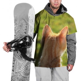 Накидка на куртку 3D с принтом Котенок спина в Белгороде, 100% полиэстер |  | Тематика изображения на принте: животные | кот | котенок | кошка