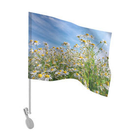 Флаг для автомобиля с принтом Ромашковый рай в Белгороде, 100% полиэстер | Размер: 30*21 см | лепестки | небо | прикольные картинки | ромашки | солнце | цветочки | цветы