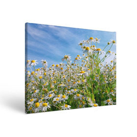 Холст прямоугольный с принтом Ромашковый рай в Белгороде, 100% ПВХ |  | Тематика изображения на принте: лепестки | небо | прикольные картинки | ромашки | солнце | цветочки | цветы