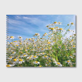 Альбом для рисования с принтом Ромашковый рай в Белгороде, 100% бумага
 | матовая бумага, плотность 200 мг. | лепестки | небо | прикольные картинки | ромашки | солнце | цветочки | цветы