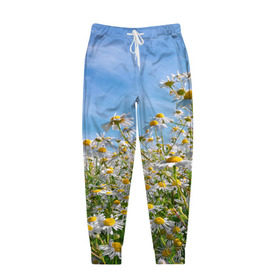 Мужские брюки 3D с принтом Ромашковый рай в Белгороде, 100% полиэстер | манжеты по низу, эластичный пояс регулируется шнурком, по бокам два кармана без застежек, внутренняя часть кармана из мелкой сетки | лепестки | небо | прикольные картинки | ромашки | солнце | цветочки | цветы