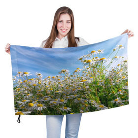 Флаг 3D с принтом Ромашковый рай в Белгороде, 100% полиэстер | плотность ткани — 95 г/м2, размер — 67 х 109 см. Принт наносится с одной стороны | лепестки | небо | прикольные картинки | ромашки | солнце | цветочки | цветы