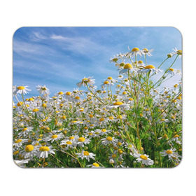 Коврик прямоугольный с принтом Ромашковый рай в Белгороде, натуральный каучук | размер 230 х 185 мм; запечатка лицевой стороны | лепестки | небо | прикольные картинки | ромашки | солнце | цветочки | цветы