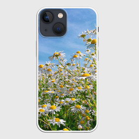 Чехол для iPhone 13 mini с принтом Ромашковый рай в Белгороде,  |  | Тематика изображения на принте: лепестки | небо | прикольные картинки | ромашки | солнце | цветочки | цветы
