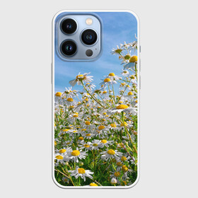 Чехол для iPhone 13 Pro с принтом Ромашковый рай в Белгороде,  |  | Тематика изображения на принте: лепестки | небо | прикольные картинки | ромашки | солнце | цветочки | цветы
