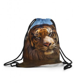 Рюкзак-мешок 3D с принтом Тигр в Белгороде, 100% полиэстер | плотность ткани — 200 г/м2, размер — 35 х 45 см; лямки — толстые шнурки, застежка на шнуровке, без карманов и подкладки | Тематика изображения на принте: вода | дикая кошка | природа | тигр | хищник