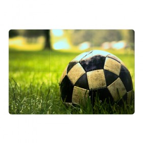 Магнитный плакат 3Х2 с принтом Футбол в Белгороде, Полимерный материал с магнитным слоем | 6 деталей размером 9*9 см | стадион | футбольное поле | футбольный мяч