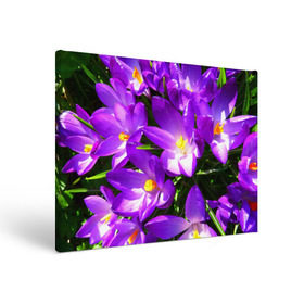 Холст прямоугольный с принтом Сиреневая прелесть в Белгороде, 100% ПВХ |  | лепестки | прикольные картинки | сиреневый | цветочки | цветы