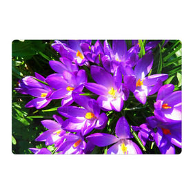 Магнитный плакат 3Х2 с принтом Сиреневая прелесть в Белгороде, Полимерный материал с магнитным слоем | 6 деталей размером 9*9 см | лепестки | прикольные картинки | сиреневый | цветочки | цветы