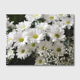 Альбом для рисования с принтом Белоснежное цветение в Белгороде, 100% бумага
 | матовая бумага, плотность 200 мг. | ландыши | лепестки | прикольные картинки | ромашки | цветочки | цветы