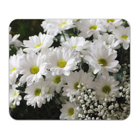 Коврик прямоугольный с принтом Белоснежное цветение в Белгороде, натуральный каучук | размер 230 х 185 мм; запечатка лицевой стороны | ландыши | лепестки | прикольные картинки | ромашки | цветочки | цветы