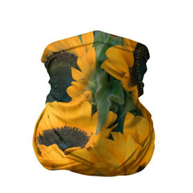Бандана-труба 3D с принтом Подсолнухи в Белгороде, 100% полиэстер, ткань с особыми свойствами — Activecool | плотность 150‒180 г/м2; хорошо тянется, но сохраняет форму | желтый | зеленый | лето | подсолнухи | цветы | черный
