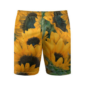 Мужские шорты 3D спортивные с принтом Подсолнухи в Белгороде,  |  | Тематика изображения на принте: желтый | зеленый | лето | подсолнухи | цветы | черный