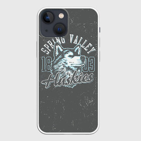 Чехол для iPhone 13 mini с принтом Team t shirt 5 в Белгороде,  |  | american football | baseball | fashion | football | sport | sport league | style | team | west | американский футбол | бейсбол | запад | команды | мода | надписи | спорт | спортивные лиги | стиль | футбол | футбольные лиги