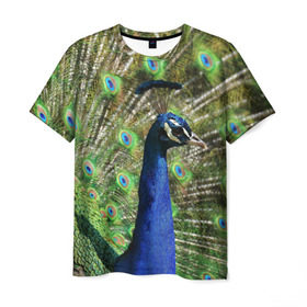 Мужская футболка 3D с принтом Павлин в Белгороде, 100% полиэфир | прямой крой, круглый вырез горловины, длина до линии бедер | Тематика изображения на принте: животные | павлин | перо | перышки | природа | птица