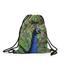 Рюкзак-мешок 3D с принтом Павлин в Белгороде, 100% полиэстер | плотность ткани — 200 г/м2, размер — 35 х 45 см; лямки — толстые шнурки, застежка на шнуровке, без карманов и подкладки | животные | павлин | перо | перышки | природа | птица