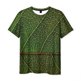 Мужская футболка 3D с принтом Листик в Белгороде, 100% полиэфир | прямой крой, круглый вырез горловины, длина до линии бедер | дерево | зеленый | зелень | лист | природа | растения