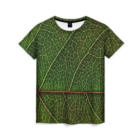 Женская футболка 3D с принтом Листик в Белгороде, 100% полиэфир ( синтетическое хлопкоподобное полотно) | прямой крой, круглый вырез горловины, длина до линии бедер | дерево | зеленый | зелень | лист | природа | растения
