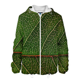 Мужская куртка 3D с принтом Листик в Белгороде, ткань верха — 100% полиэстер, подклад — флис | прямой крой, подол и капюшон оформлены резинкой с фиксаторами, два кармана без застежек по бокам, один большой потайной карман на груди. Карман на груди застегивается на липучку | дерево | зеленый | зелень | лист | природа | растения