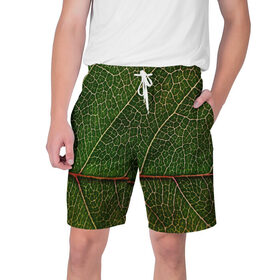 Мужские шорты 3D с принтом Листик в Белгороде,  полиэстер 100% | прямой крой, два кармана без застежек по бокам. Мягкая трикотажная резинка на поясе, внутри которой широкие завязки. Длина чуть выше колен | дерево | зеленый | зелень | лист | природа | растения