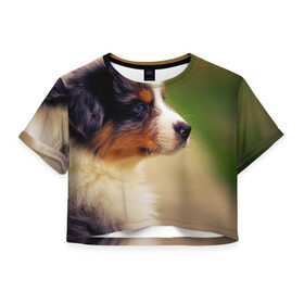 Женская футболка 3D укороченная с принтом Aussi в Белгороде, 100% полиэстер | круглая горловина, длина футболки до линии талии, рукава с отворотами | австралийская овчарка | животные | пёс | собака | щенок