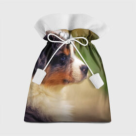 Подарочный 3D мешок с принтом Aussi в Белгороде, 100% полиэстер | Размер: 29*39 см | Тематика изображения на принте: австралийская овчарка | животные | пёс | собака | щенок