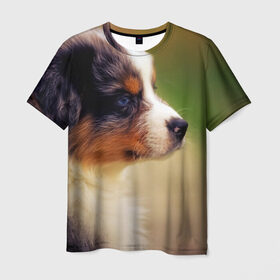 Мужская футболка 3D с принтом Aussi в Белгороде, 100% полиэфир | прямой крой, круглый вырез горловины, длина до линии бедер | австралийская овчарка | животные | пёс | собака | щенок