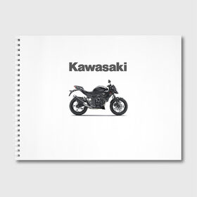 Альбом для рисования с принтом Kawasaky в Белгороде, 100% бумага
 | матовая бумага, плотность 200 мг. | kawasaky