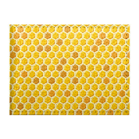 Обложка для студенческого билета с принтом Медовые соты в Белгороде, натуральная кожа | Размер: 11*8 см; Печать на всей внешней стороне | Тематика изображения на принте: арт | еда | мед | пчелы | соты