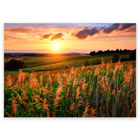 Поздравительная открытка с принтом Родные просторы в Белгороде, 100% бумага | плотность бумаги 280 г/м2, матовая, на обратной стороне линовка и место для марки
 | sunrise | sunset | восход | деревня | закат | луг | небо | облака | поле | природа | солнце | цветы