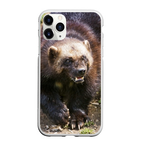 Чехол для iPhone 11 Pro матовый с принтом Росомаха в Белгороде, Силикон |  | животные | лес | медведи | охота | природа | туризм