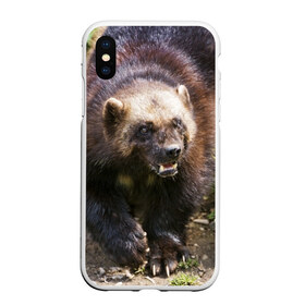 Чехол для iPhone XS Max матовый с принтом Росомаха в Белгороде, Силикон | Область печати: задняя сторона чехла, без боковых панелей | животные | лес | медведи | охота | природа | туризм