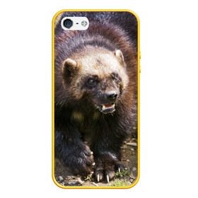 Чехол для iPhone 5/5S матовый с принтом Росомаха в Белгороде, Силикон | Область печати: задняя сторона чехла, без боковых панелей | животные | лес | медведи | охота | природа | туризм