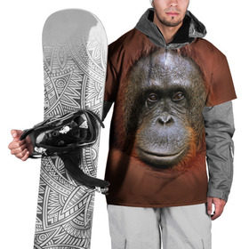 Накидка на куртку 3D с принтом Обезьяна в Белгороде, 100% полиэстер |  | животные | о.м.с.к. | обезьяна | орангутанг